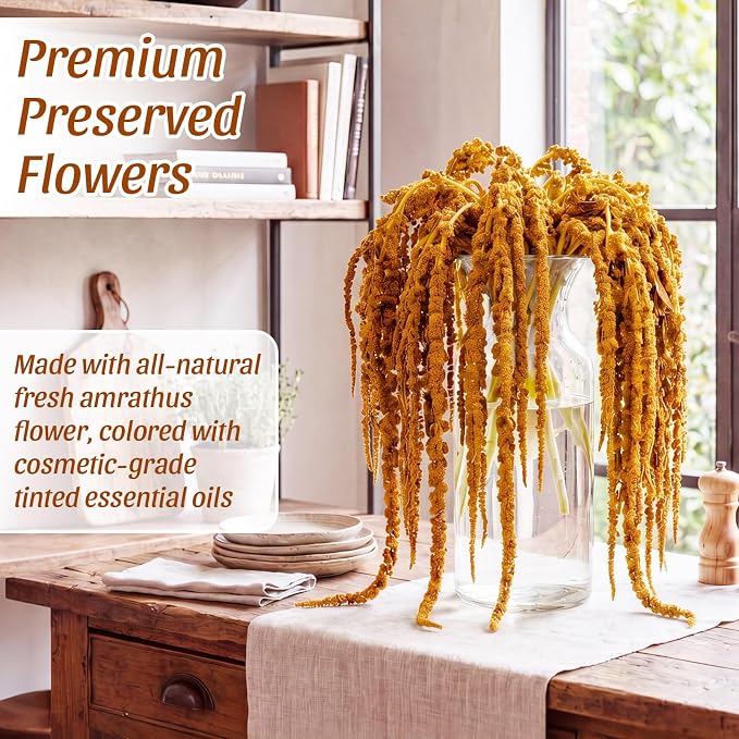 Suncalla 12 Pcs Orange Spring Natural Dried Amaranthus Hanging Flowers Amaranthus Artificial Flowers for Wedding Arch Bouquet Floral Garland Wall Home Decoration (23 Inch)