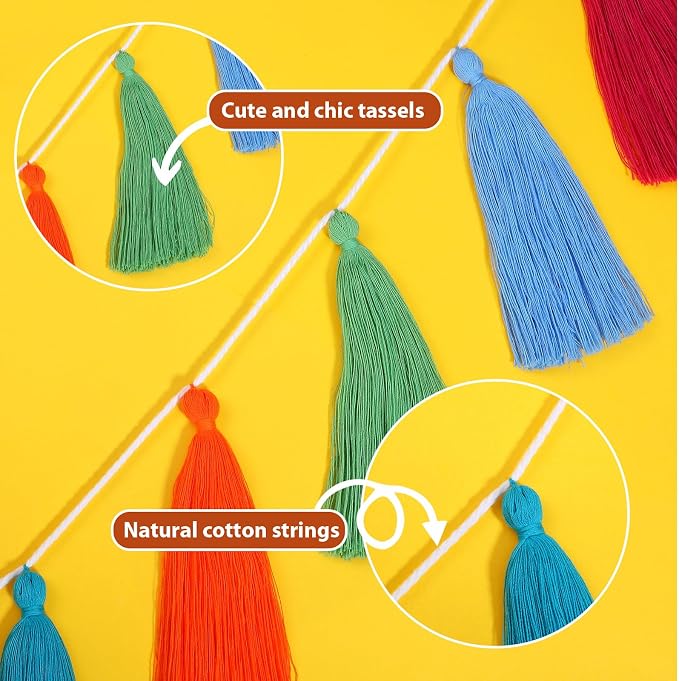WILLBOND 4 Pcs Rainbow Tassel Garland Party Decorations, Colorful Boho Wall Hanging Banner for Classroom Decor, Back to School Birthday Wedding Baby Shower Nursery Home(Multicolor,6.3 Inch)