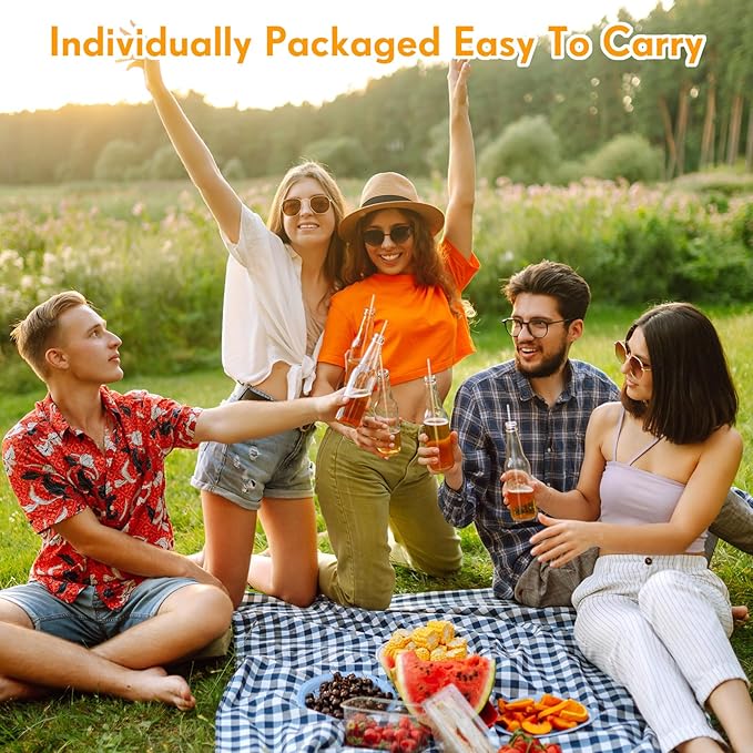 Hoolerry 1500 Pcs Plastic Straws Disposable Individually Wrapped Drinking Straight Long Straws, 0.24" Wide, for Hot and Cold Beverages (10.25 Inch)
