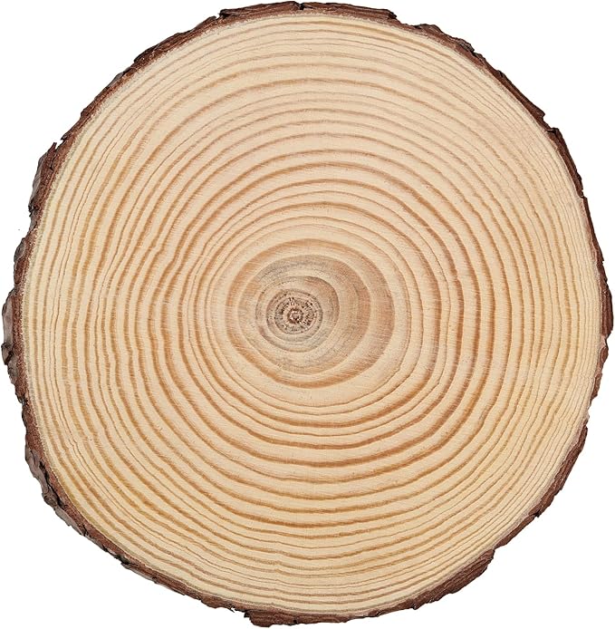 JEUIHAU 6 PCS 7-8 Inches Natural Unfinished Wood Slices, Round Wooden Tree Bark Discs, Wooden Circles for DIY Crafts, Christmas, Rustic Wedding Ornaments