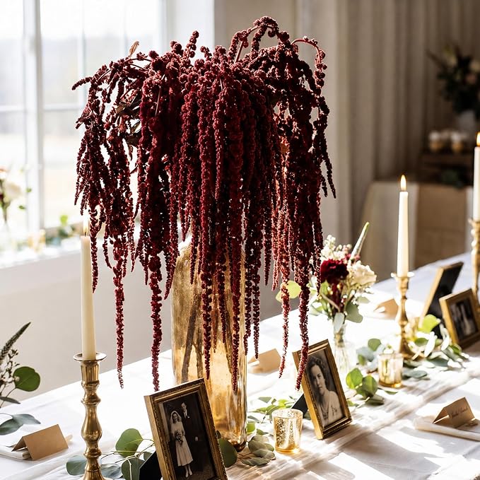Suncalla 24 Pcs Brownish-red Spring Natural Dried Amaranthus Hanging Flowers Amaranthus Artificial Flowers for Wedding Arch Bouquet Floral Garland Wall Home Decoration (23 Inch)