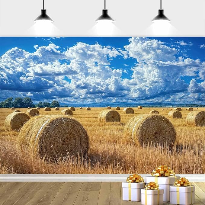 8 x 6 ft Autumn Harvest Field Backdrop Fall Farm Blue Sky White Clouds Field Haystack Country Photography Background Western Newborn Children Birthday Background Banner Photo Studio Props