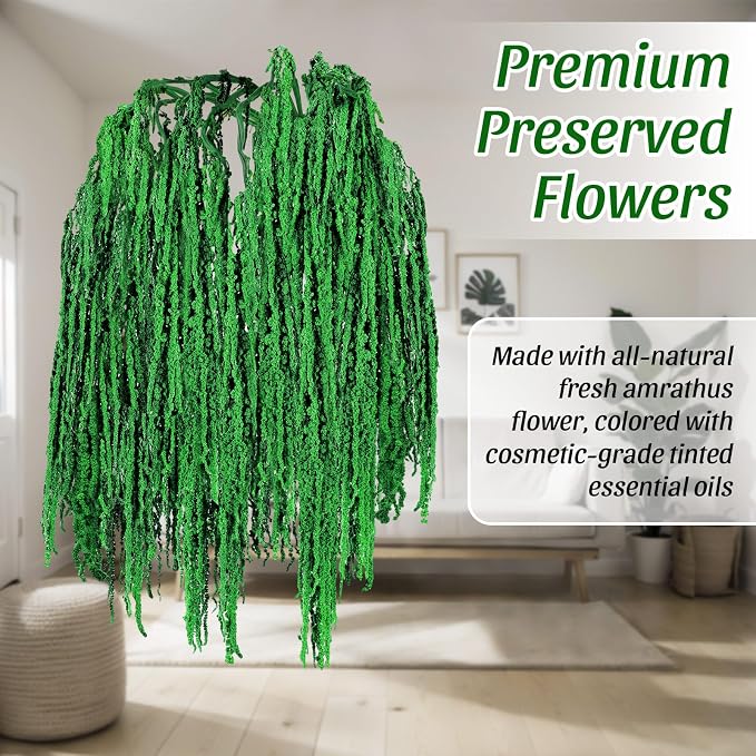 Suncalla Spring Natural Dried Amaranthus Hanging Flowers Amaranthus Artificial Flowers for Wedding Arch Bouquet Floral Garland Wall Home Decoration