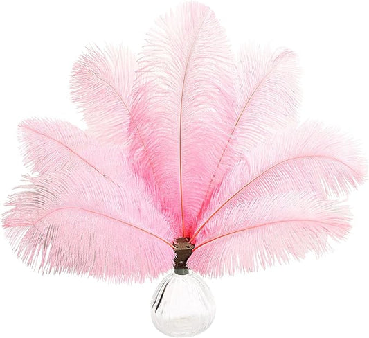 10pcs Natural Pink Ostrich Feathers 12-14inch 30-35cm for Wedding Party Centerpieces, Easter Home Decorations