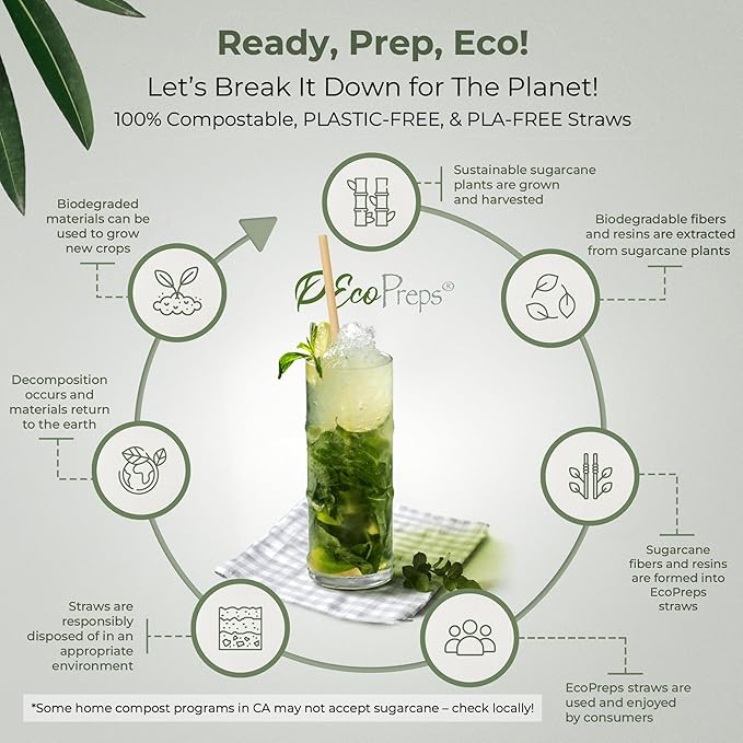 EcoPreps 10'' Biodegradable Sugarcane Straws, Extra-Long Straw | 100 Count, 100% Compostable, Plastic-Free, Eco-Friendly Drinking Straw | Sugar Fiber, Party Jumbo Disposable Straws, 10 Inches Tall