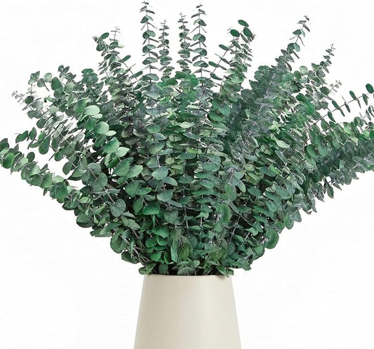 50 Pcs Preserved Eucalyptus Stems, 17 Inch Real Dried Eucalyptus Branches for Shower, Vase Arrangements, Home Decor, Wedding, Bathroom