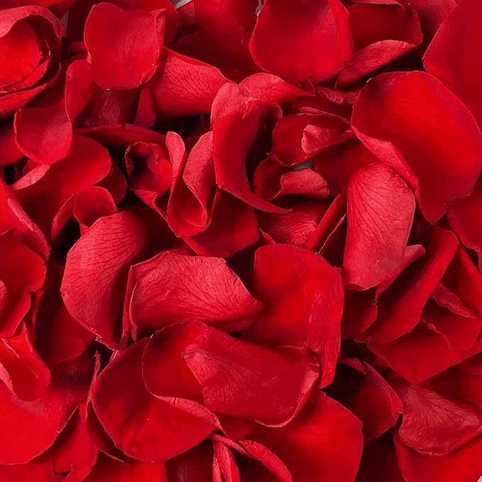 180 PCS Real Red Rose Petals Confetti for Romantic Night, 1.75oz Preserved Freeze Dried Flower Petals for Wedding Proposal, Valentine's Day Centerpiece Decor