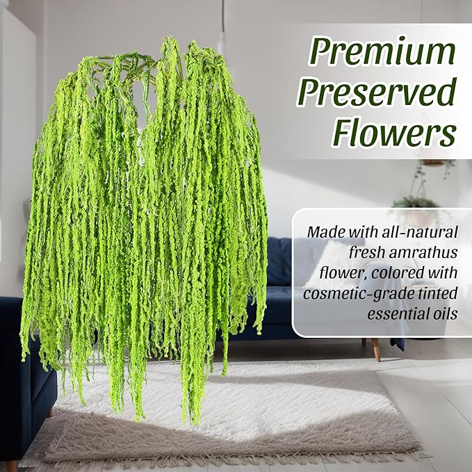 Suncalla 24 Pcs Green Spring Natural Dried Amaranthus Hanging Flowers Amaranthus Artificial Flowers for Wedding Arch Bouquet Floral Garland Wall Home Decoration (23 Inch)