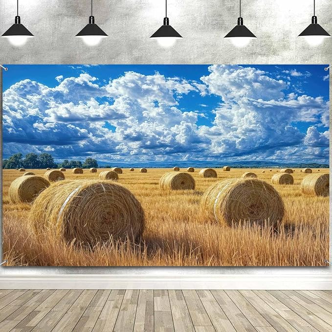 8 x 6 ft Autumn Harvest Field Backdrop Fall Farm Blue Sky White Clouds Field Haystack Country Photography Background Western Newborn Children Birthday Background Banner Photo Studio Props