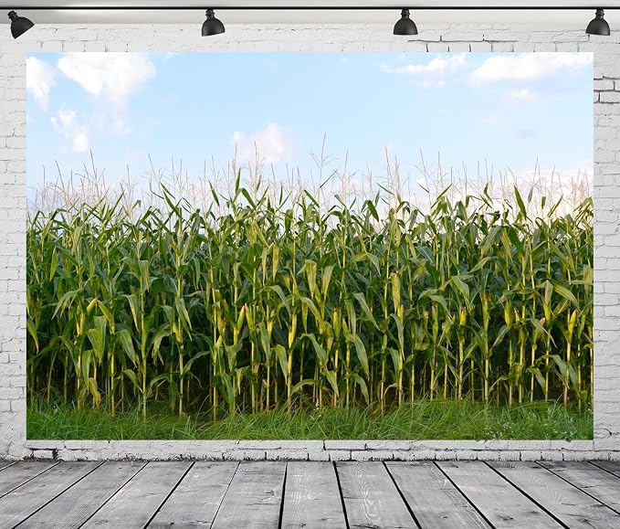 BELECO 20x10ft Fabric Cornfield Maze Backdrop Green Corn Stalks Corn Field Countryside Farm Harvest Background Corn Field Themed Party Decorations Adults Kids Portrait Photoshoot Studio Props
