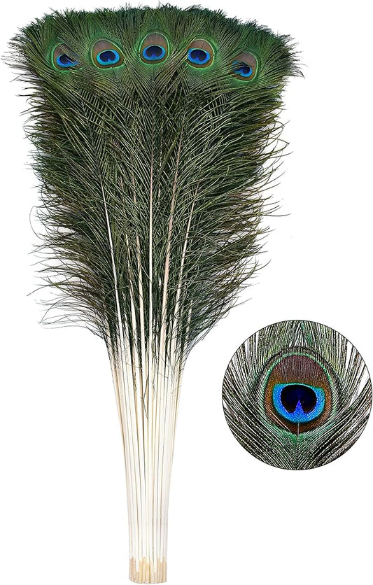 Ballinger 30pcs Natural Peacock Feathers Long Pole Bulk 32-35 inch for DIY Craft, Wedding Holiday Decorationn and Floral Arrangement