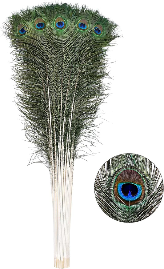 Ballinger 20pcs Natural Peacock Feathers Long Pole Bulk 40-45 inch for DIY Craft, Wedding Holiday Decorationn and Floral Arrangement