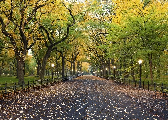 8x6ft Fabric Central Park Backdrop New York City Park Path Trees Autumn Scenery Background Outdoor Hiking United States Nature Theme Wallpaper Photo Booth Studios Props