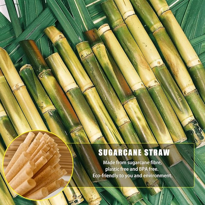 Individually Wrapped 8 Inch Biodegradable Smoothie Straws Made from Sugarcane 150 pcs Compostable Disposable Drinking Straws A Great Alternative to Plastic/Paper Straws Not Soggy