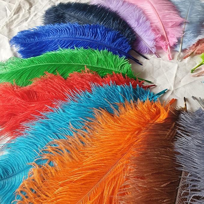 Lamar 20Pcs 14-16'' Blue Ostrich Feathersfor Wedding Centerpieces, DIY Crafts, Dream Catchers, Party Decor, Floral Arrangement, Bohemian Home Decor (Royal Blue)
