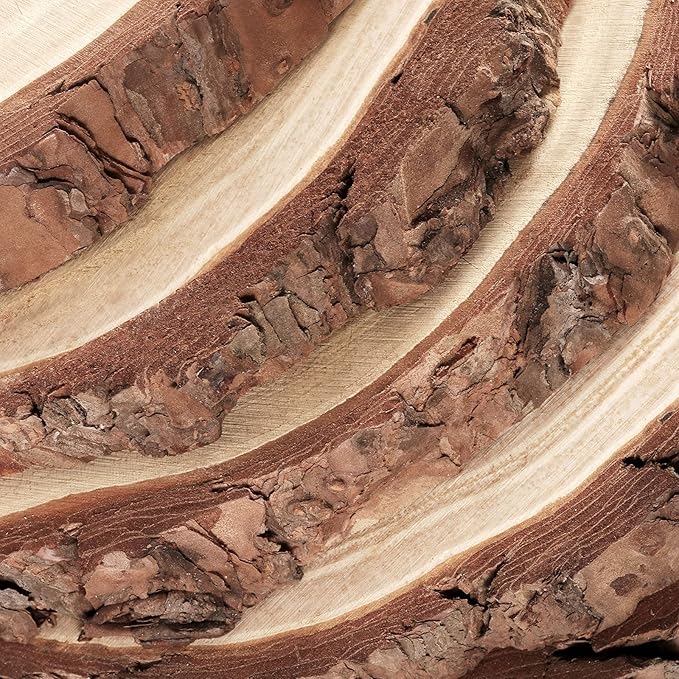 PINGEUI 6 Piece 9-10 Inch Natural Wood Slices, Unfinished Natural Wood Tree Slices with Bark, Large Round Tree Wood Discs Wooden Circles Tree Bark Slice for Crafts