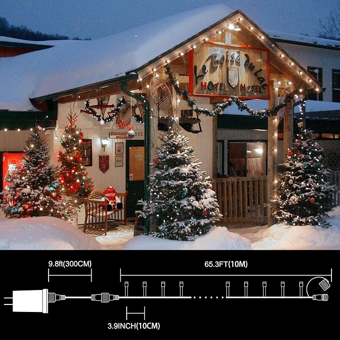 LAMPHOME 33ft Christmas Decorative Mini Lights, 100 LED Transparent Wire Fairy Starry String Lights Plug in, 16 Lighting Modes, for Indoor Outdoor Xmas Tree Wedding Party Decoration (White)
