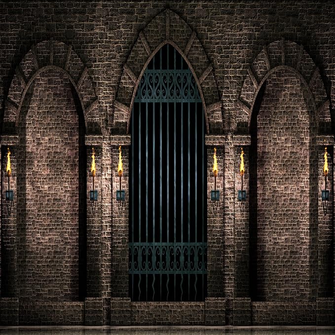 BELECO 8x8ft Fabric Gothic Castle Photography Backdrop Ancient Stone Wall Arches Iron Gates Torches Prison Corridor Halloween Night Background Medieval Castle Birthday Party Decorations Photo Props