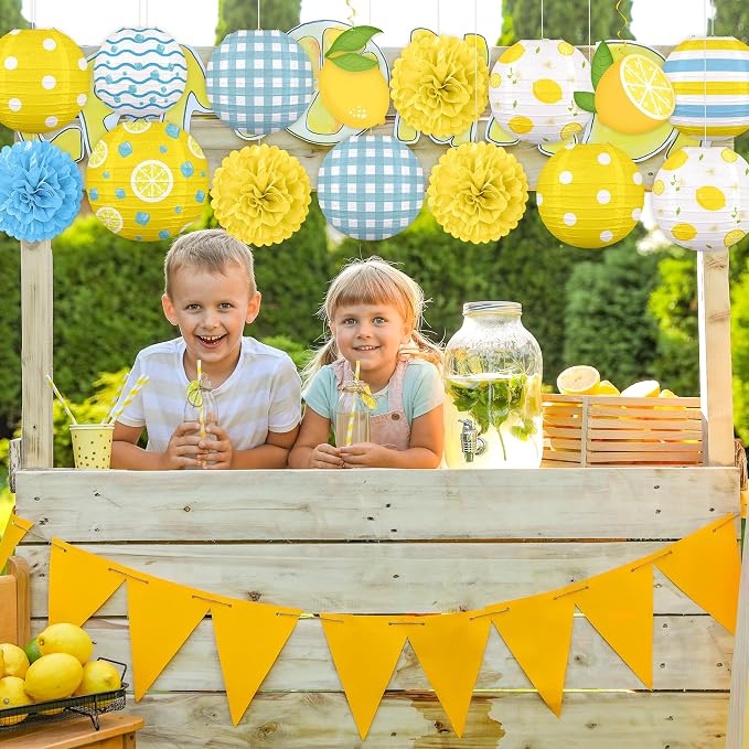 Renbuzhu 15PCS Summer Lemon Party Decorations Paper Lanterns Pom Poms Hanging Swirls Yellow Blue Theme Lemonade Stand Italian Decor for Birthday Home Backyard Indoor Outdoor