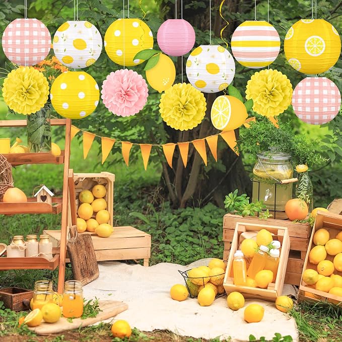 Renbuzhu 15PCS Summer Lemon Party Decorations Paper Lanterns Pom Poms Hanging Swirls Pink and Yellow Theme Lemonade Stand Italian Decor for Birthday Home Backyard Indoor Outdoor