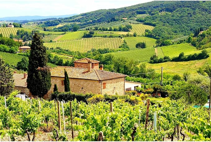 Mountains Village Backdrop Spring Lush Green Field Forest Grassland Hills Photography Background Village Mountain Nature Landscape Backdrop Home Decorations for Bedroom Living Room Dorm 12x8ft