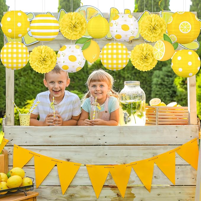Renbuzhu 15PCS Summer Lemon Party Decorations Paper Lanterns Pom Poms Hanging Swirls Yellow Theme Lemonade Stand Italian Decor for Birthday Home Backyard Indoor Outdoor