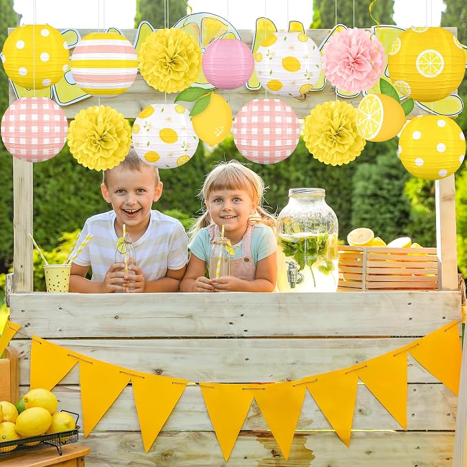 Renbuzhu 15PCS Summer Lemon Party Decorations Paper Lanterns Pom Poms Hanging Swirls Pink and Yellow Theme Lemonade Stand Italian Decor for Birthday Home Backyard Indoor Outdoor