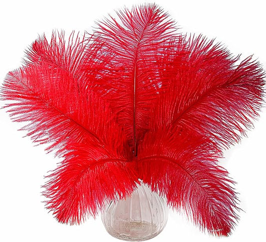 10pcs Natural Red Ostrich Feathers 16-18inch 40-45cm for Wedding Party Centerpieces, Easter Home Decorations