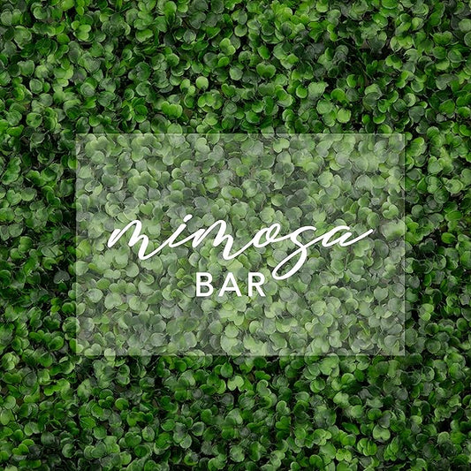 Andaz Press Mimosa Bar Acrylic Sign, 7.5 x 11 Inch Horizontal, Stand Included, Signage for Wedding, Bridal Shower, Bachelorette, Engagement, Birthday, Graduation, Holiday, Events, Bar, Bar Cart