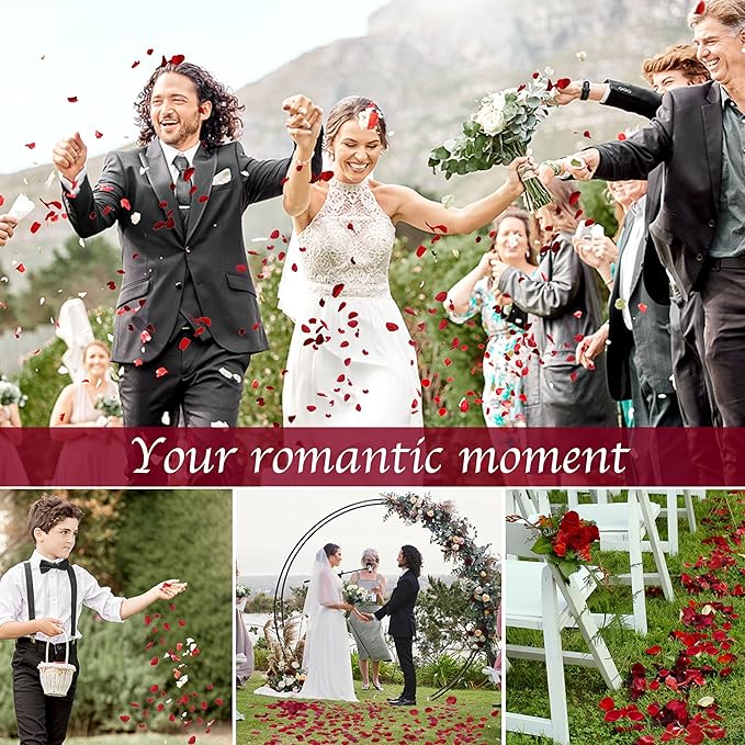 180 PCS Real Red Rose Petals Confetti for Romantic Night, 1.75oz Preserved Freeze Dried Flower Petals for Wedding Proposal, Valentine's Day Centerpiece Decor